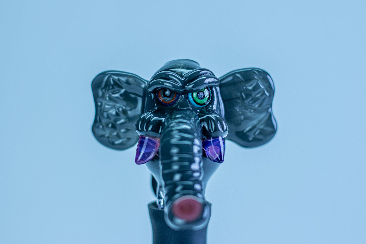 Rob Morrison Glass