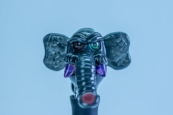 Rob Morrison Glass