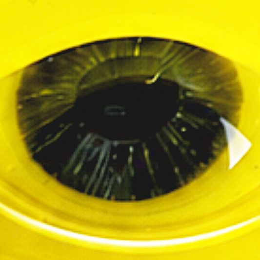 Jacob Jarvis - Warrior Pendant
